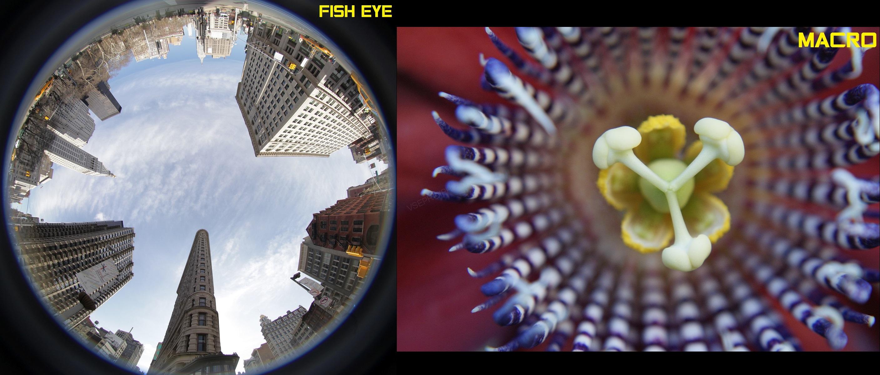 universal clip fish eye a macro